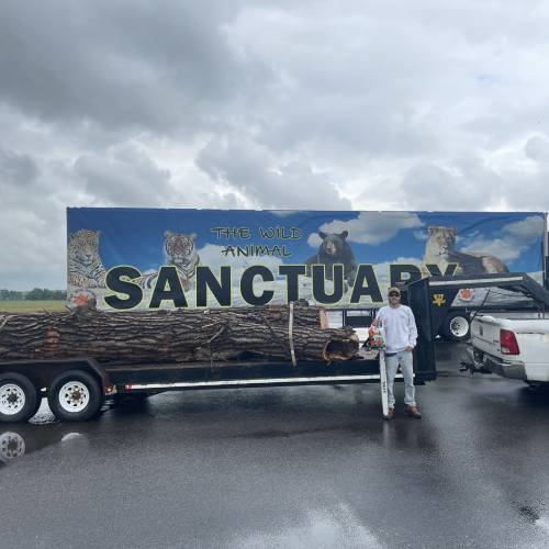 Commercial Tree Services